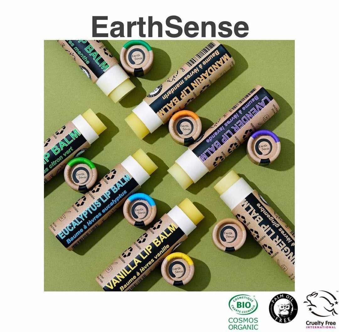 Organic Ginger Lip Balm 15ml - Earthsenseorganics