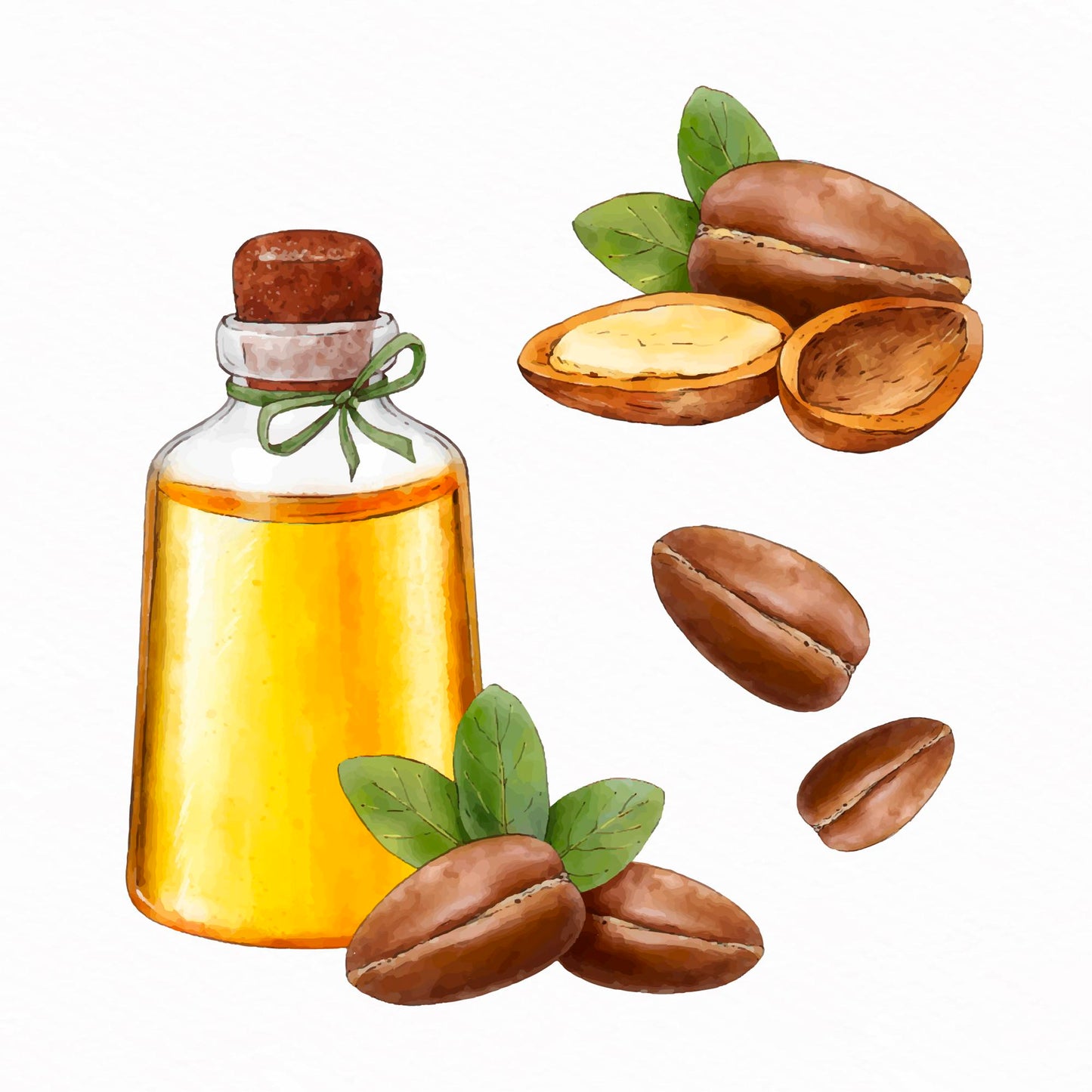 Organic Argan Oil 50ml - Earthsenseorganics