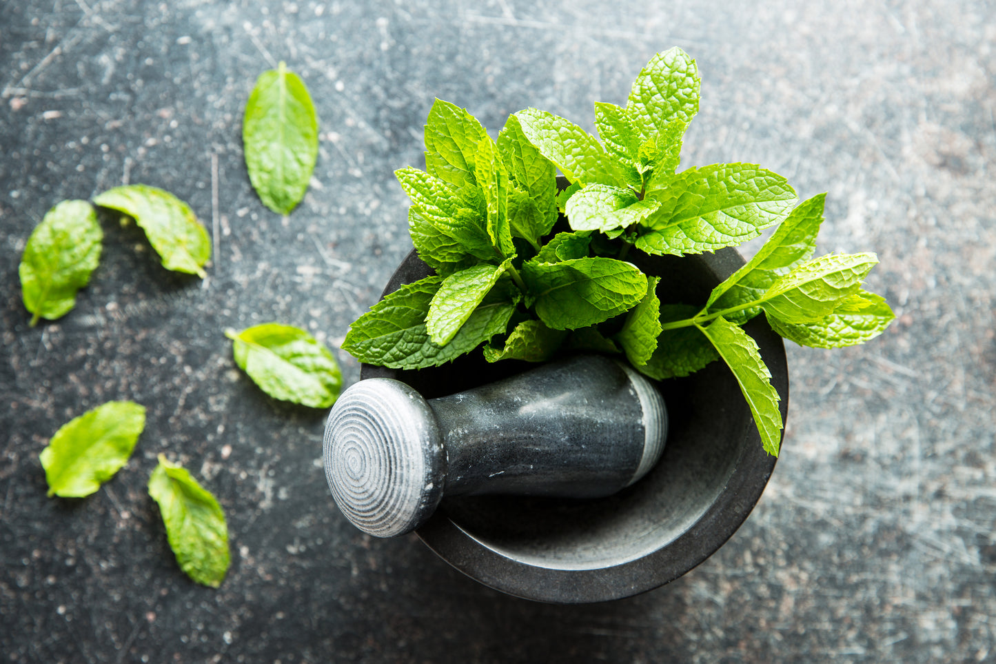 Organic Peppermint Lip Balm 15ml - Earthsenseorganics