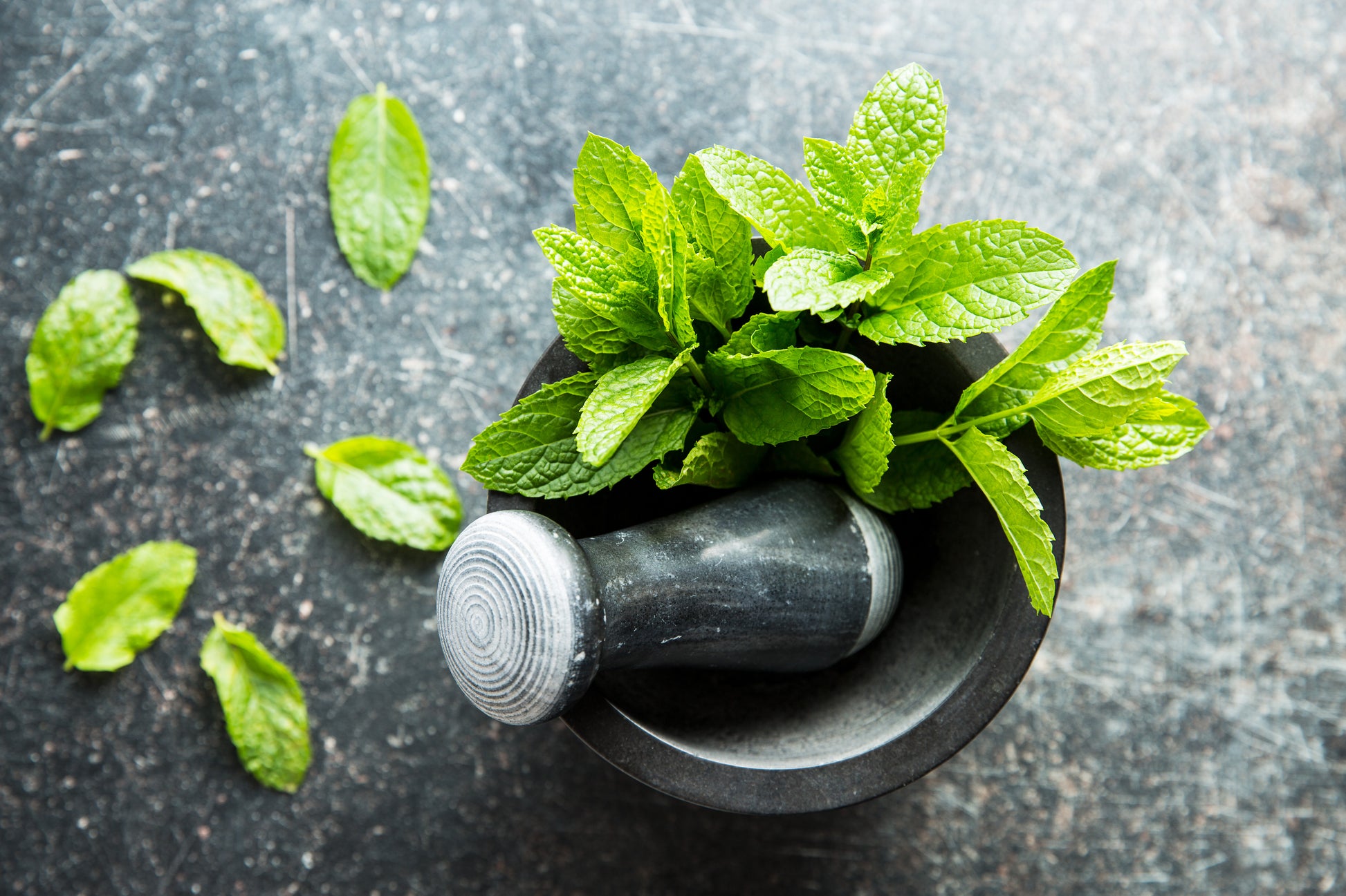 Organic Peppermint Lip Balm 15ml - Earthsenseorganics