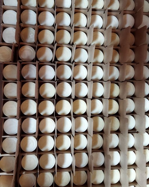 Duo Pack - Organic Solid Shampoo & Organic Concentrated Hair Rinse - Earthsenseorganics