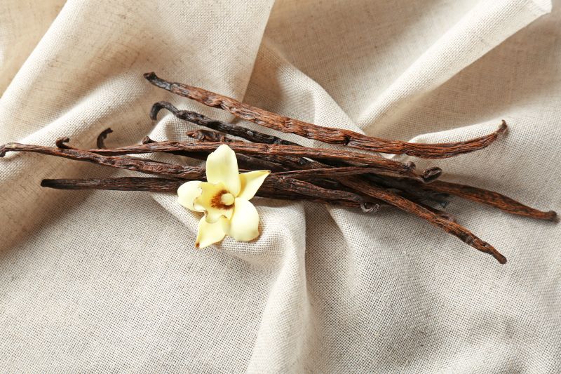 Organic Vanilla Lip Balm 15ml - Earthsenseorganics