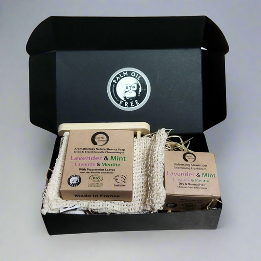 NEW PRICE - Gift Set DUO - Organic Solid Shampoo & Organic Solid Soap plus accessories